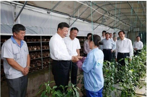 习大大又双叒叕来考察太阳能发电了